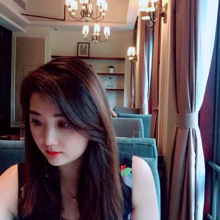 向日葵的照片