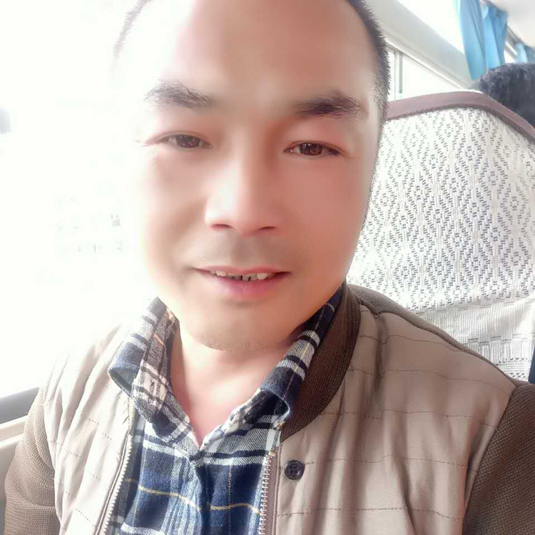 叶子175的照片