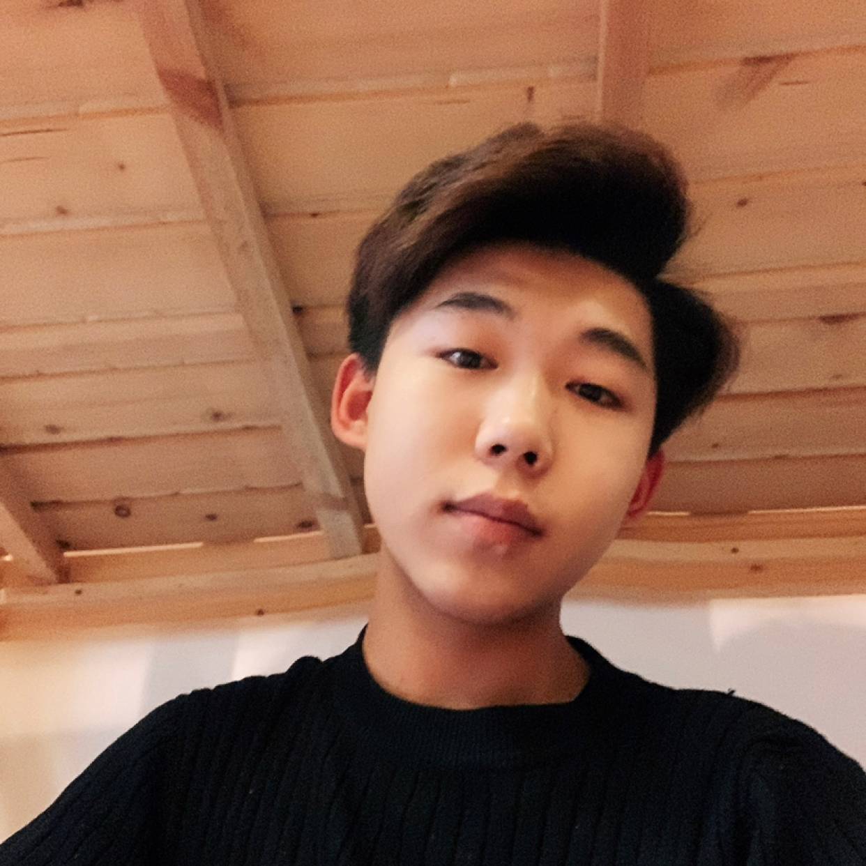 鸭子放弃迷人的照片