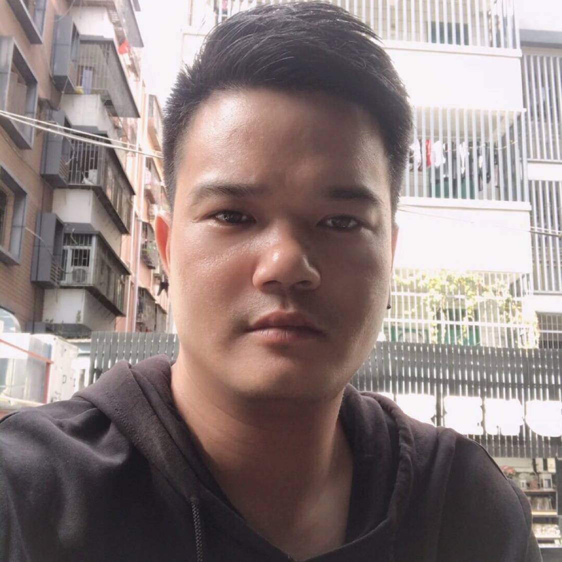 蜜蜂愿我们的的照片