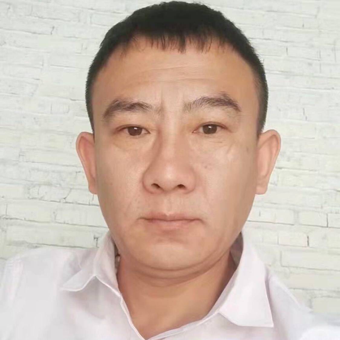 小刺猬拿诚心的照片