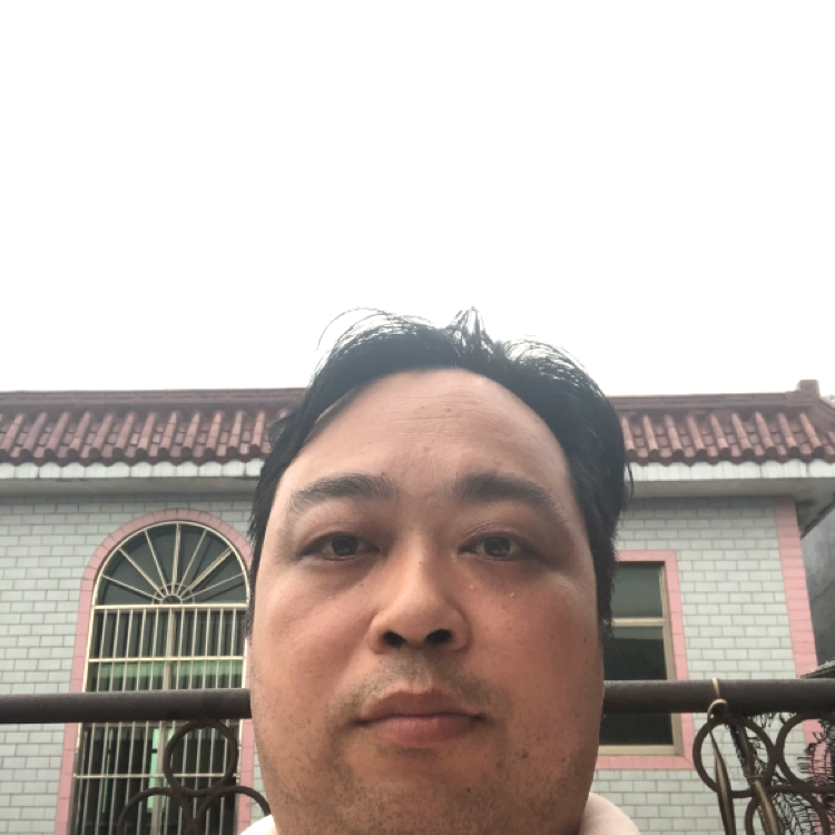 小猫七月的照片