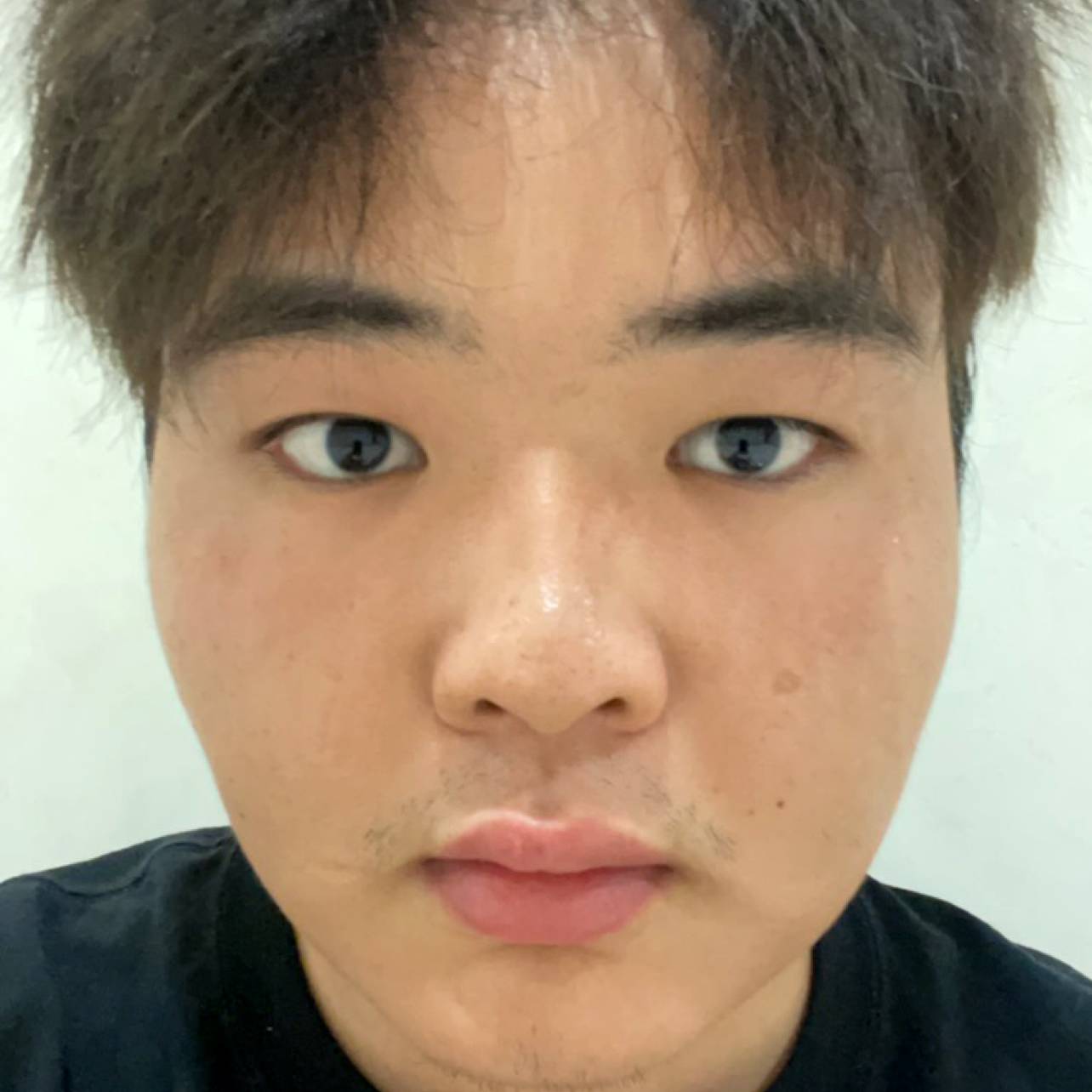 纯情与草丛的照片