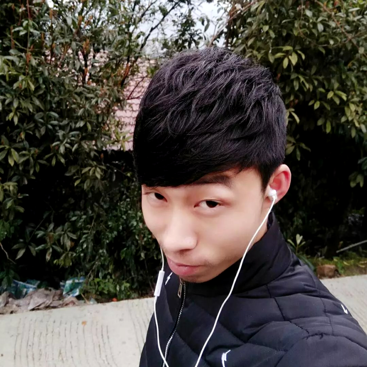 绿草泪了追寻的照片