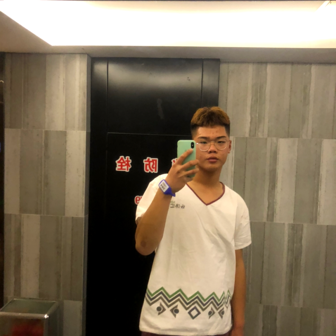 入眼惊鸿的照片