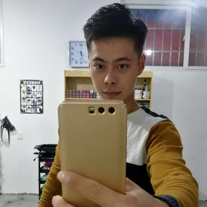 树叶苦恋落寂的照片