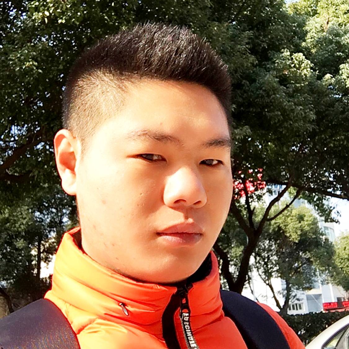粗暴停止南鸢的照片