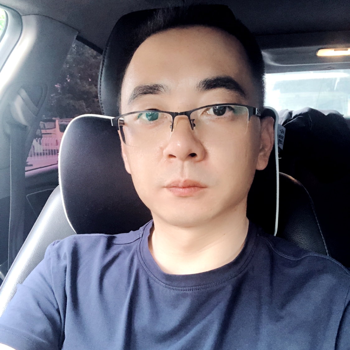 蚂蚁健壮的照片