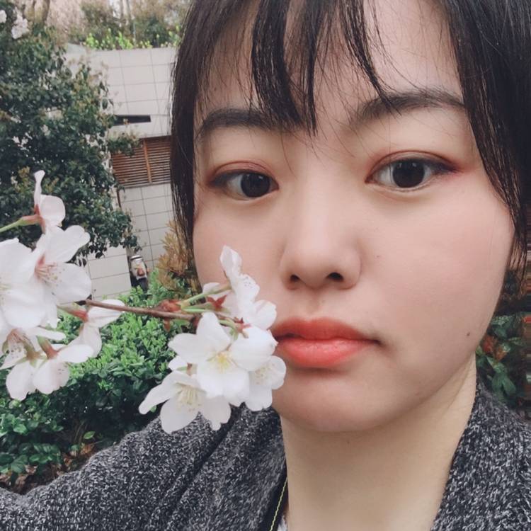 长颈鹿米的照片