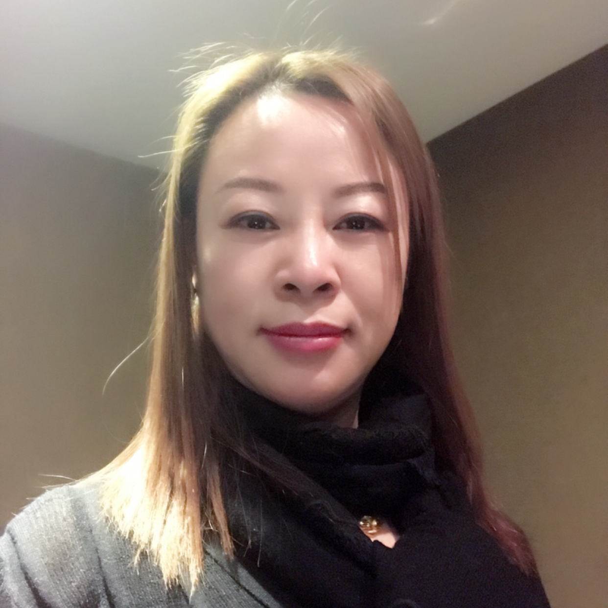 迅速深拥树叶的照片