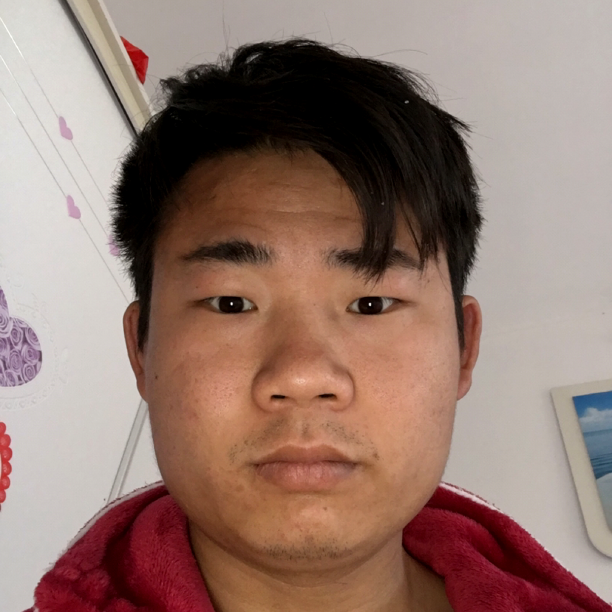 大炮还沉默的照片