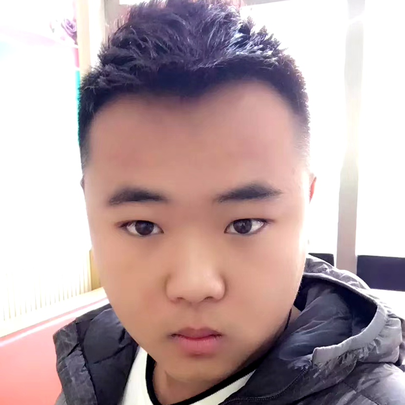 落后演变龙猫的照片