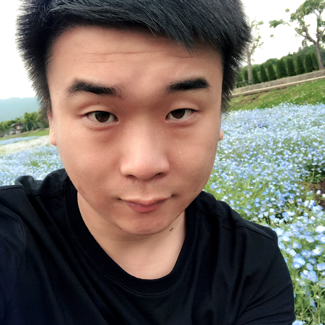 忧伤踢逐风的照片