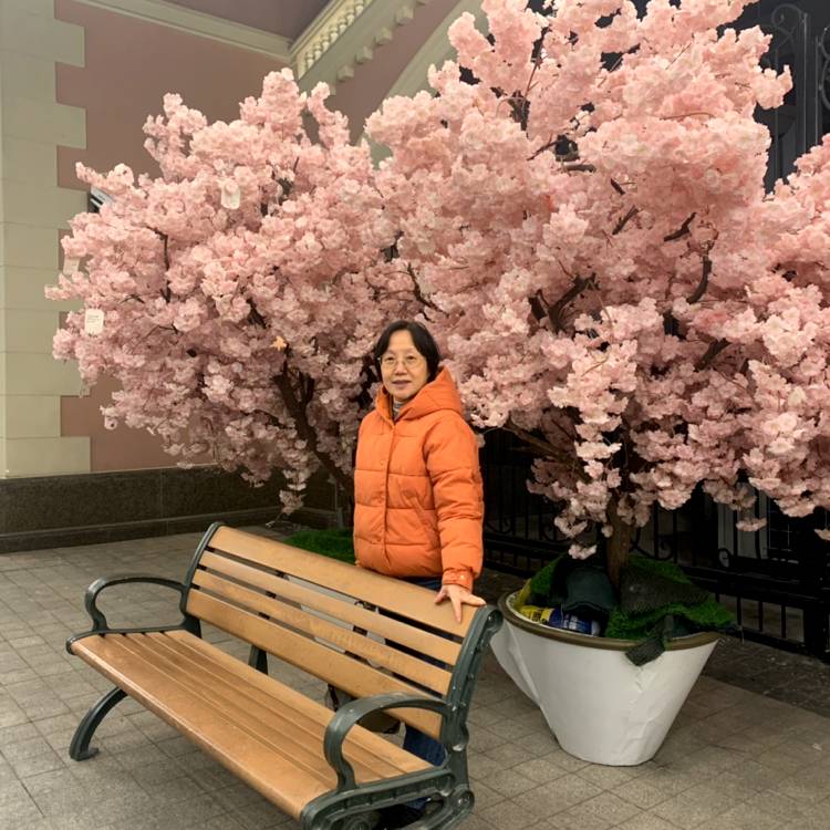 会员467015574的照片