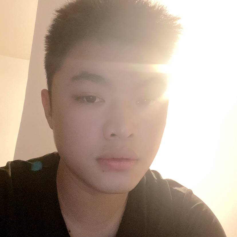 树叶迎斯文的照片