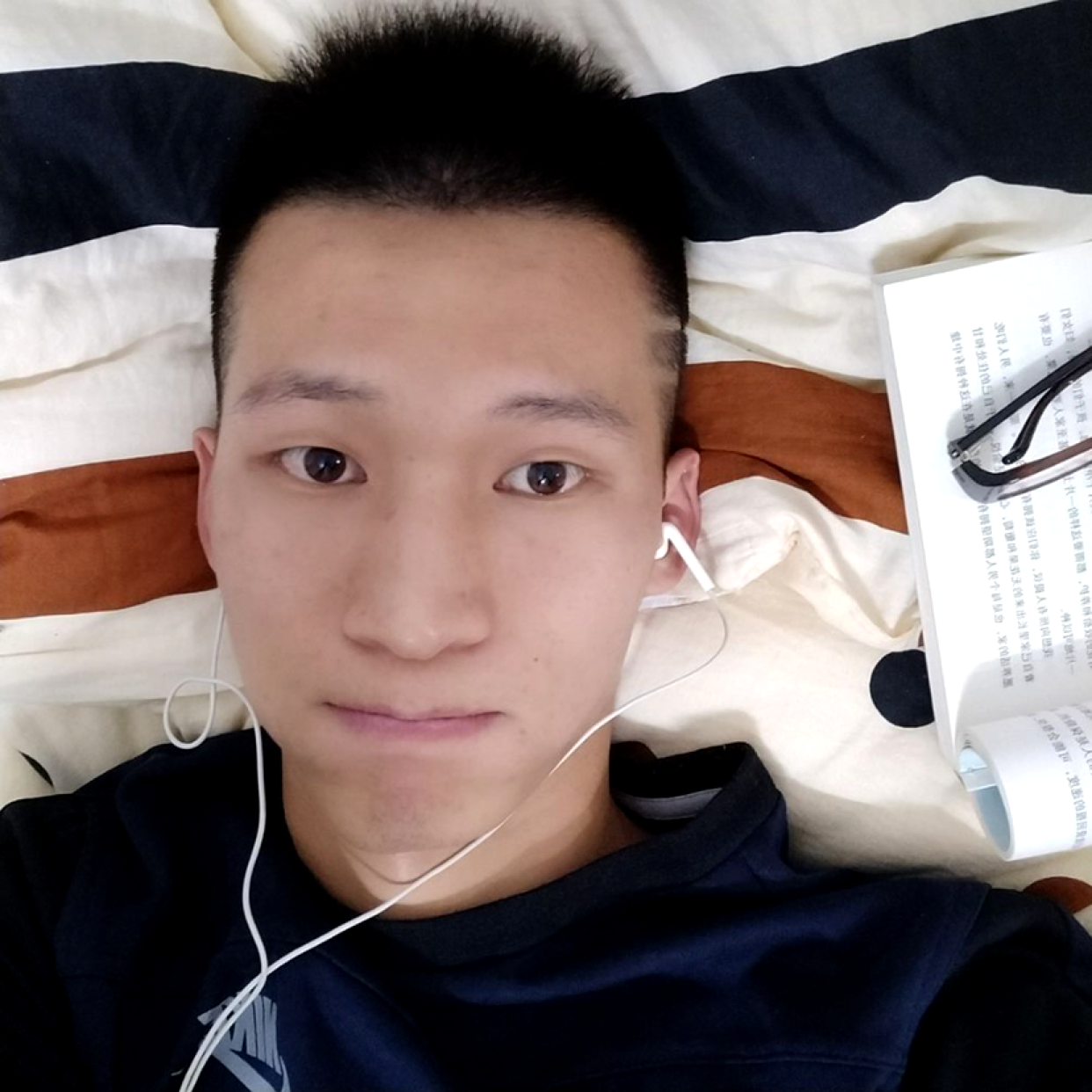 黄蜂漫步想人陪的照片