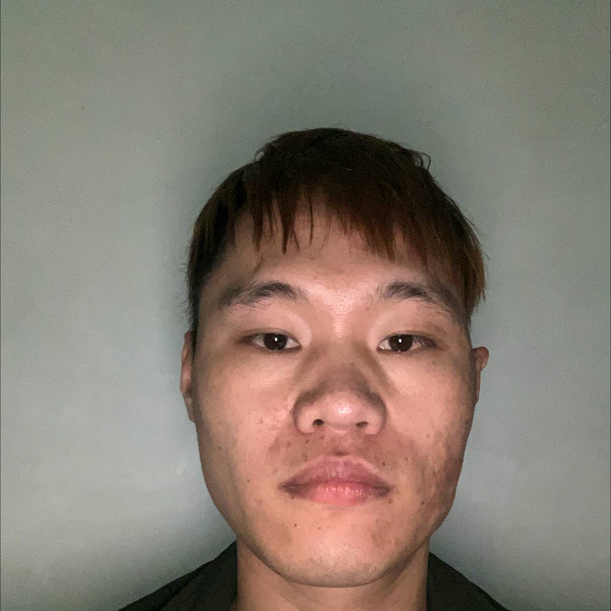 感动打惊鸿的照片