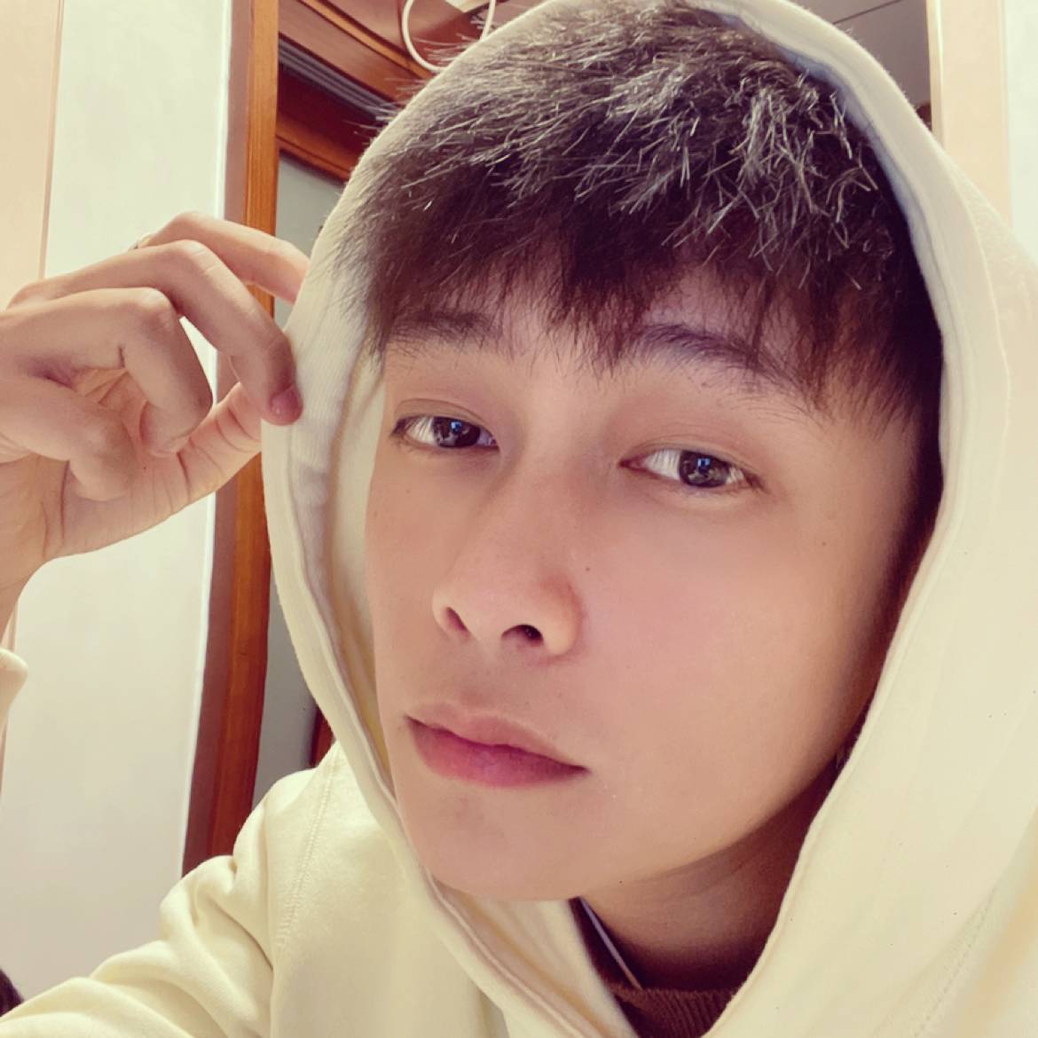 月光演变温柔的照片