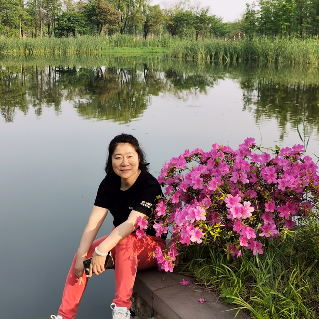 等待的玫瑰的照片