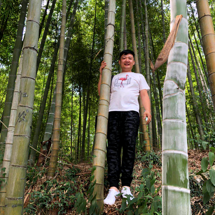 单身老男孩儿的照片