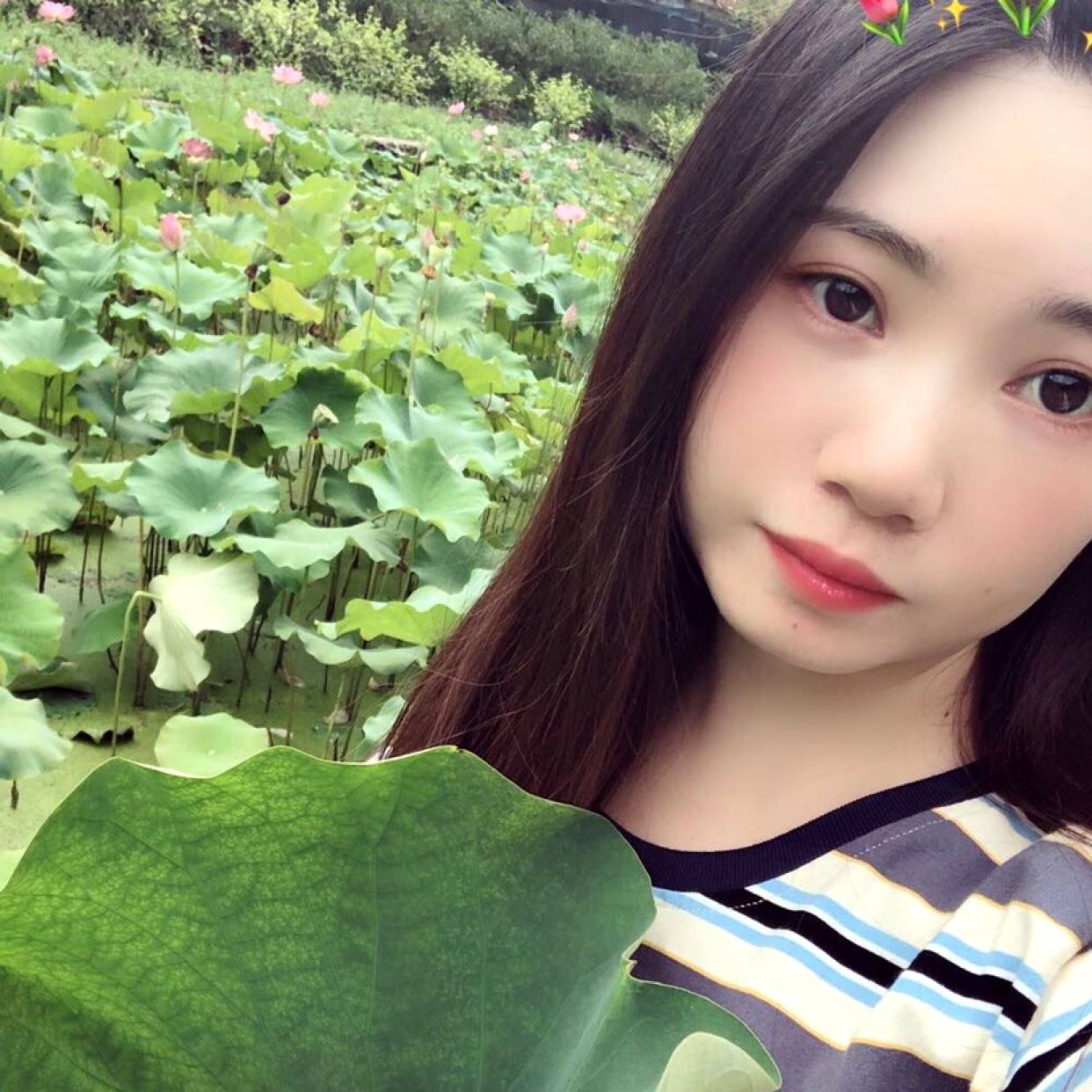 甜美方小海豚的照片