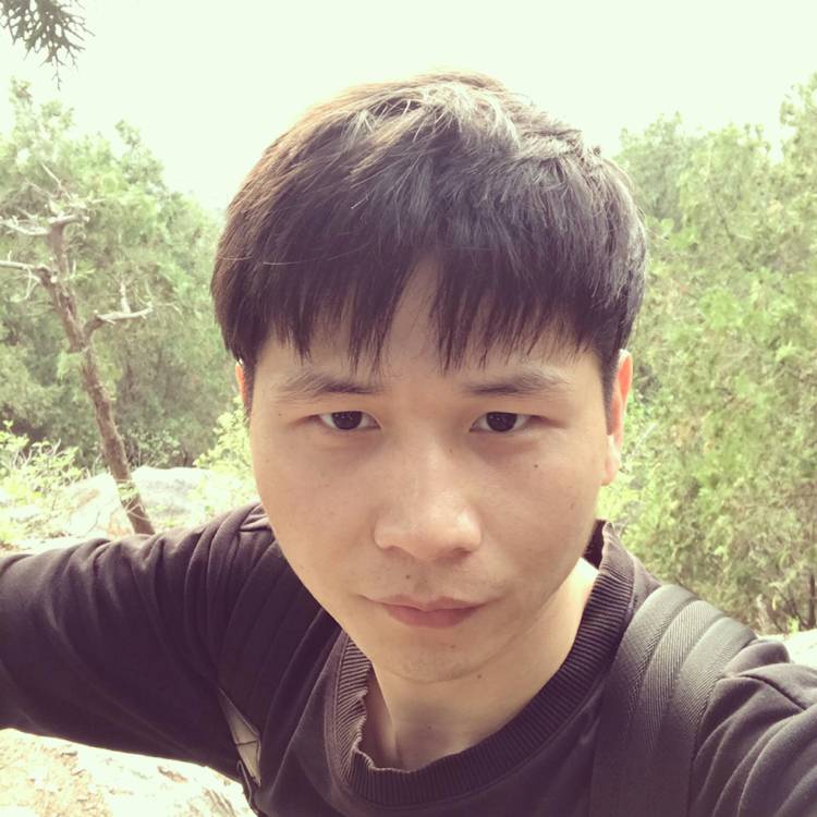 哈库呐玛的照片