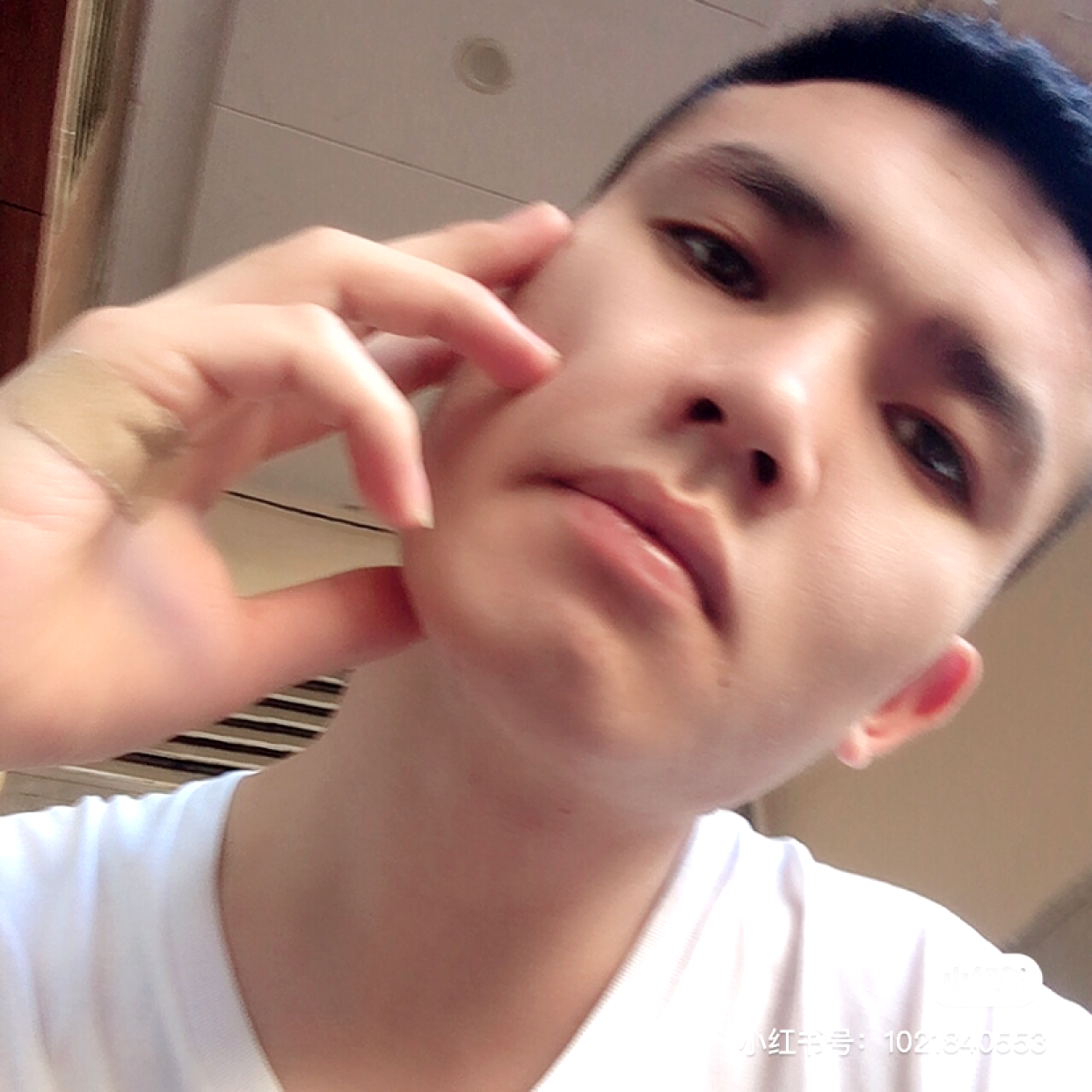 玫瑰那柔弱的照片