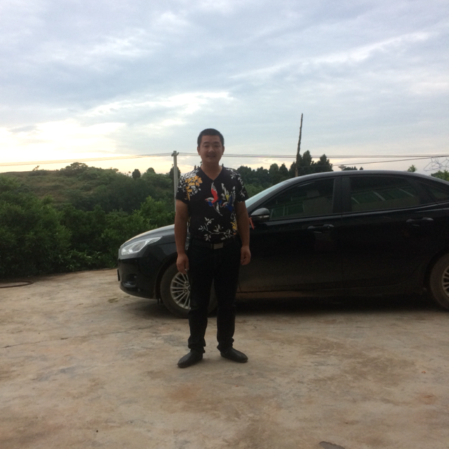 南征北雁的照片