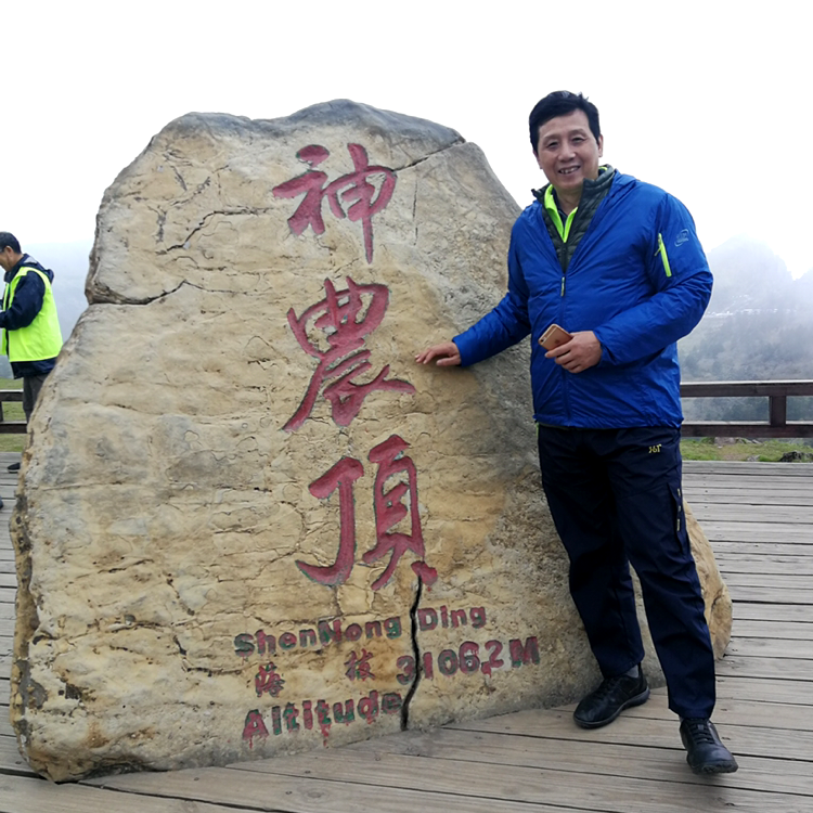 棒球放弃落寂的照片