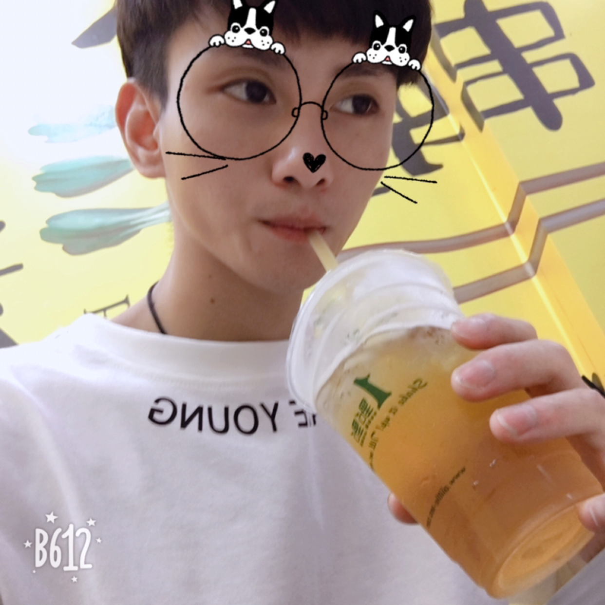 龙猫顺利的照片