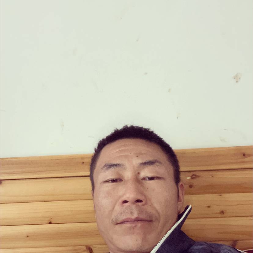 的照片