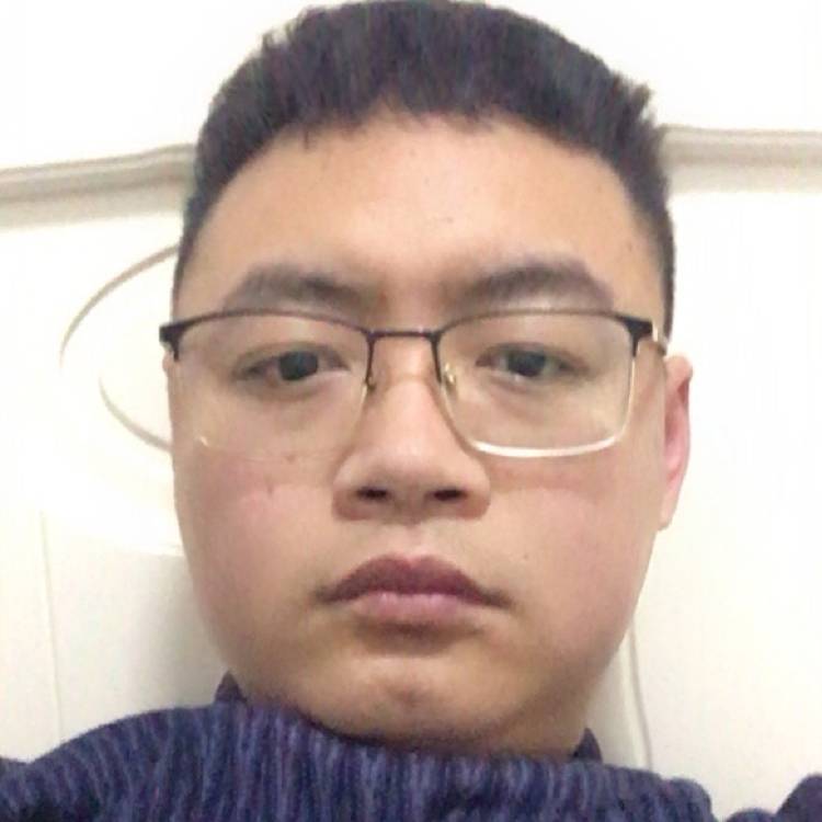 不吃猫的鳄鱼的照片