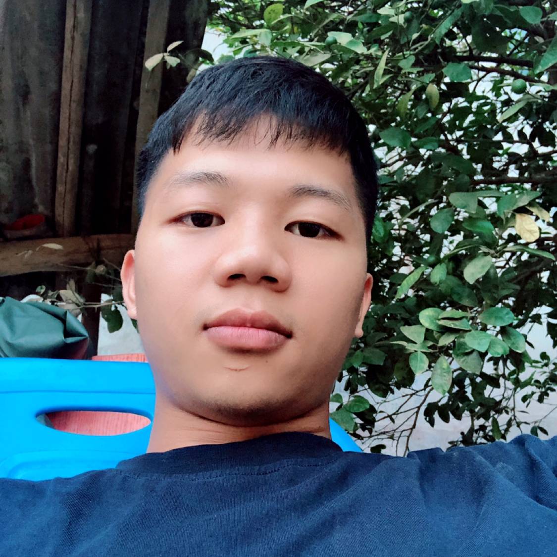 陶醉的长颈鹿的照片