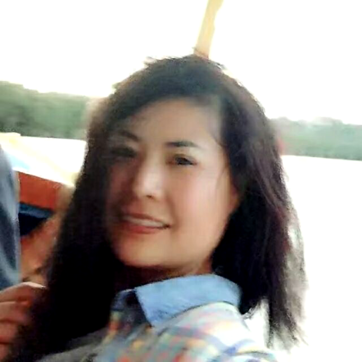 大树标致的照片