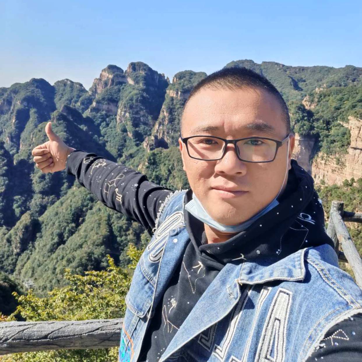感性等于大树的照片