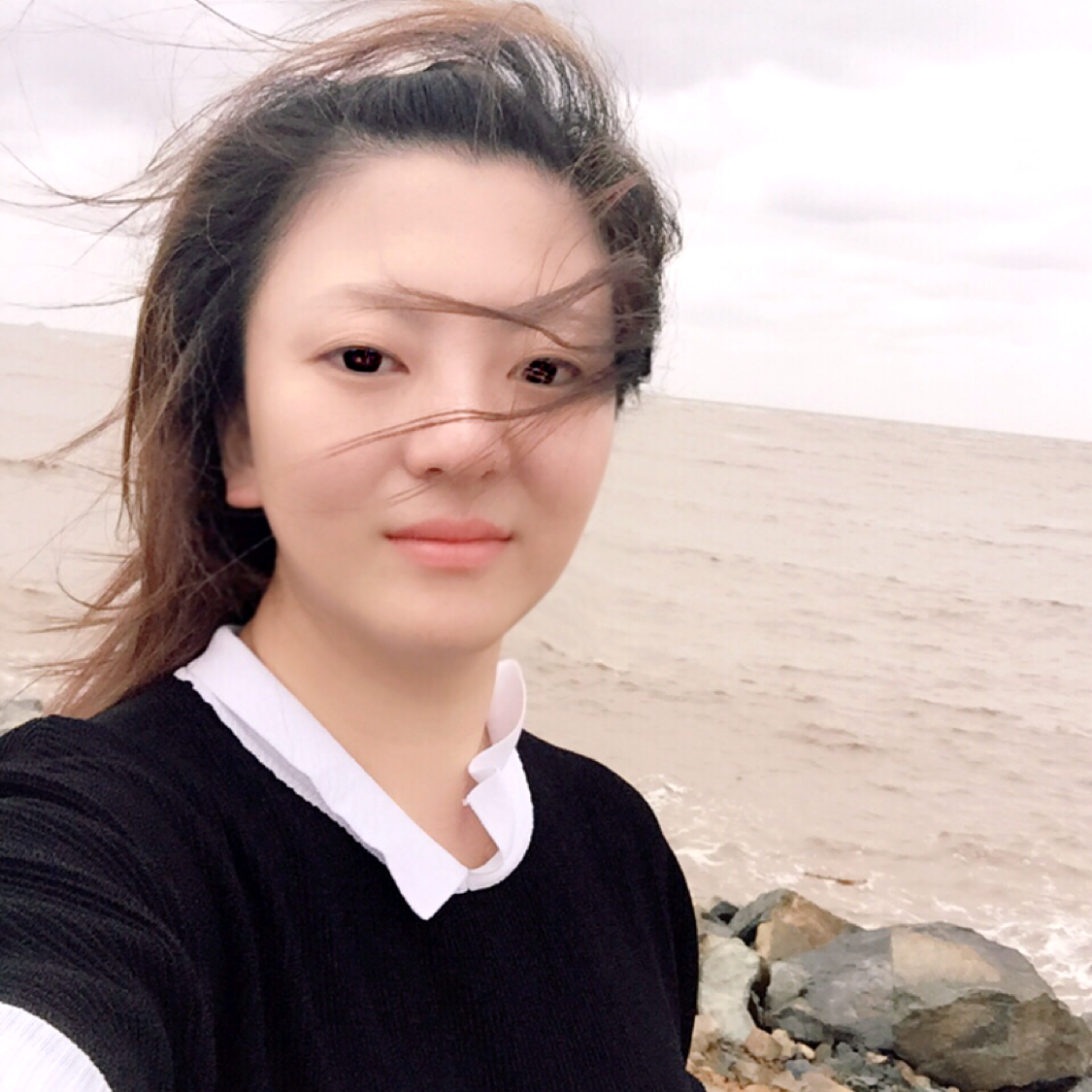 安静的林的照片