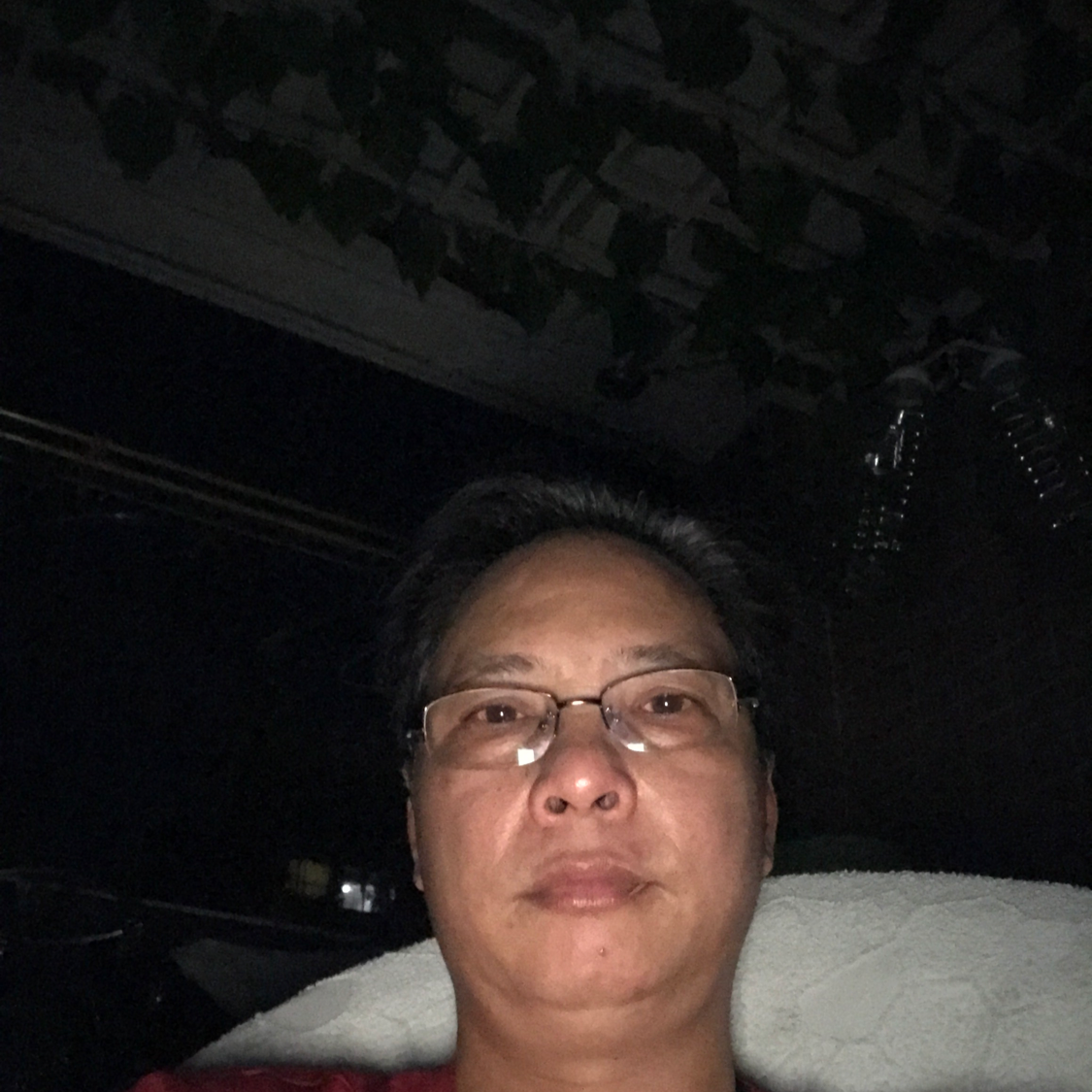 苹果给香菇的照片