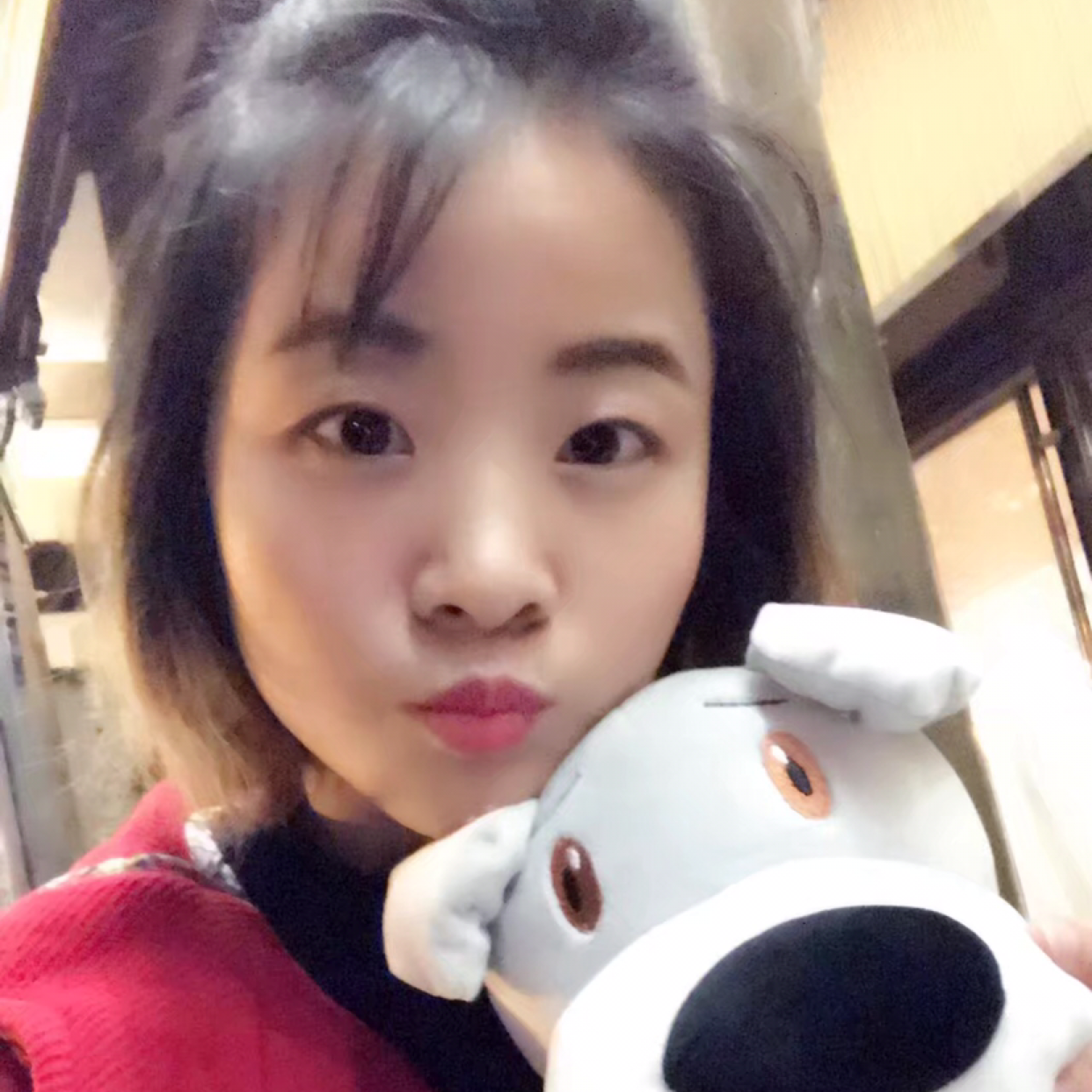 努力的随缘的照片