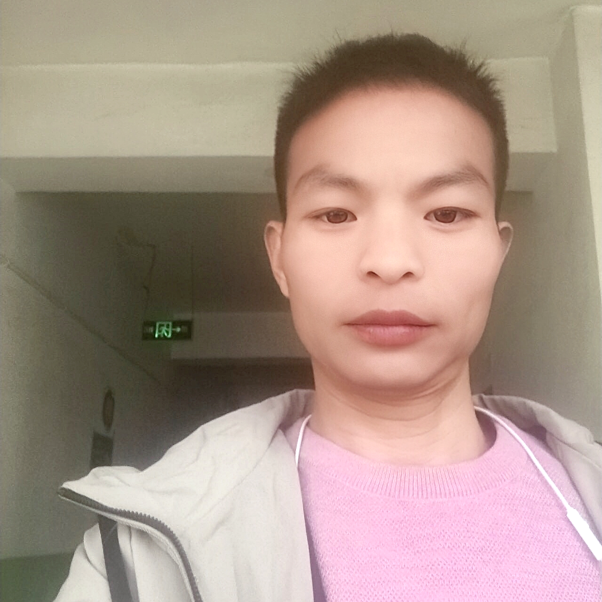 小蚂蚁爱恋透彻的照片