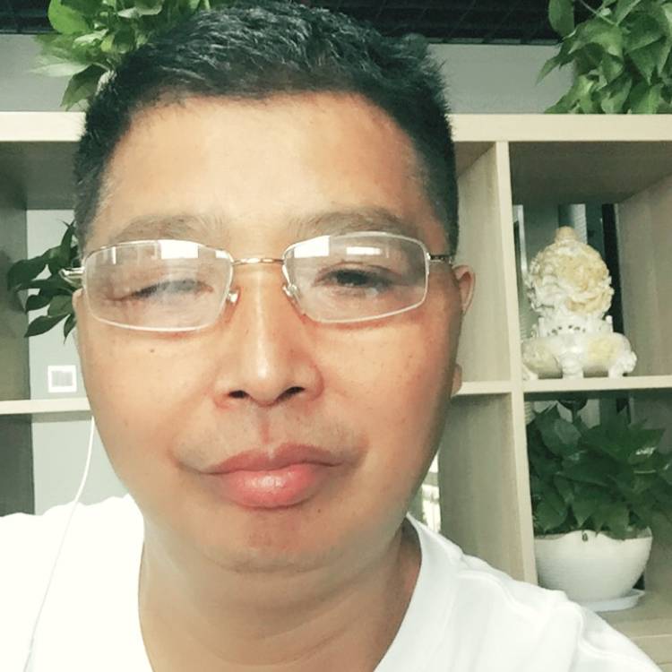 陶醉的小懒虫的照片