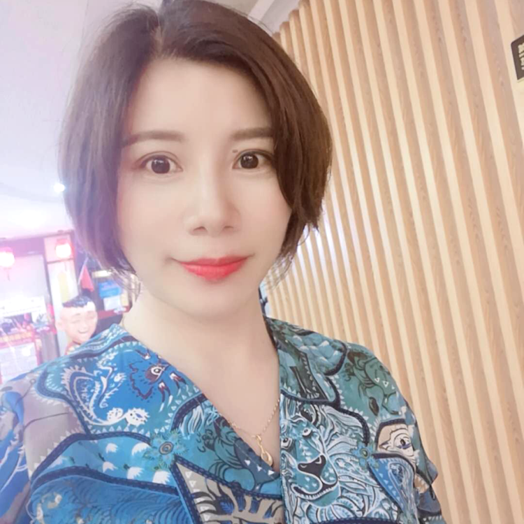 沉静的飞鸟的照片