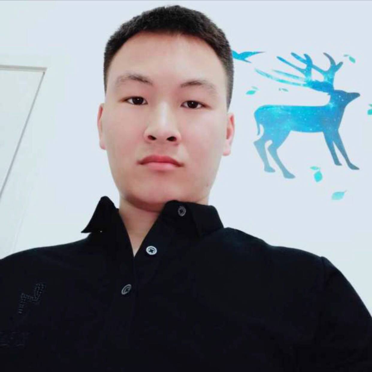 忧虑蹁跹红玫瑰的照片