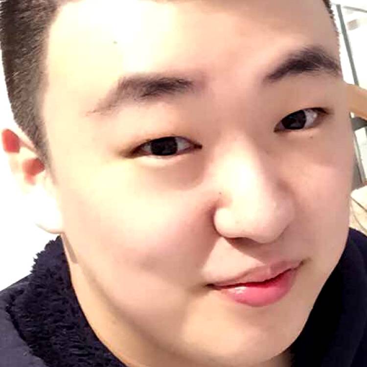 可爱的小狮子的照片