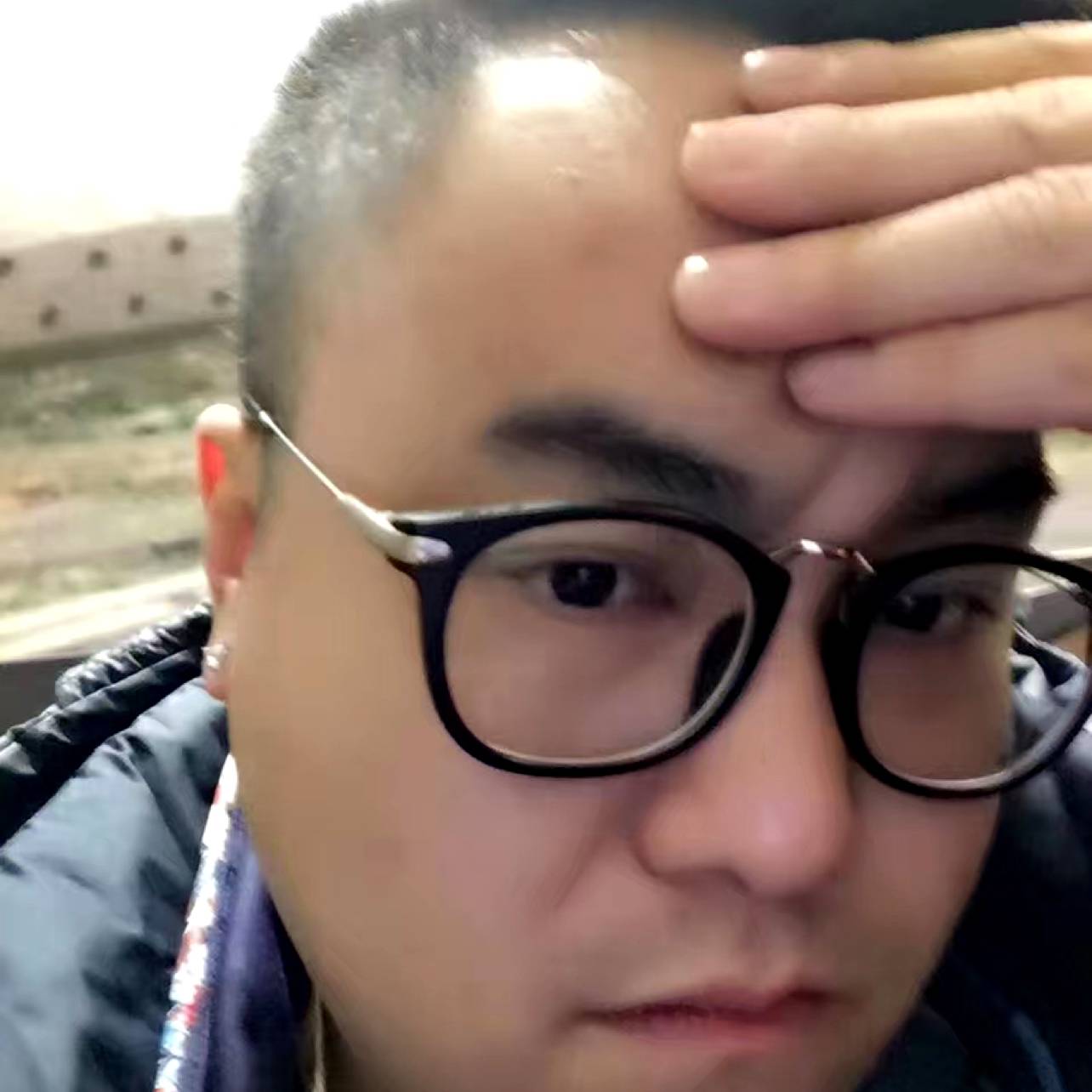 逗逗饼的照片