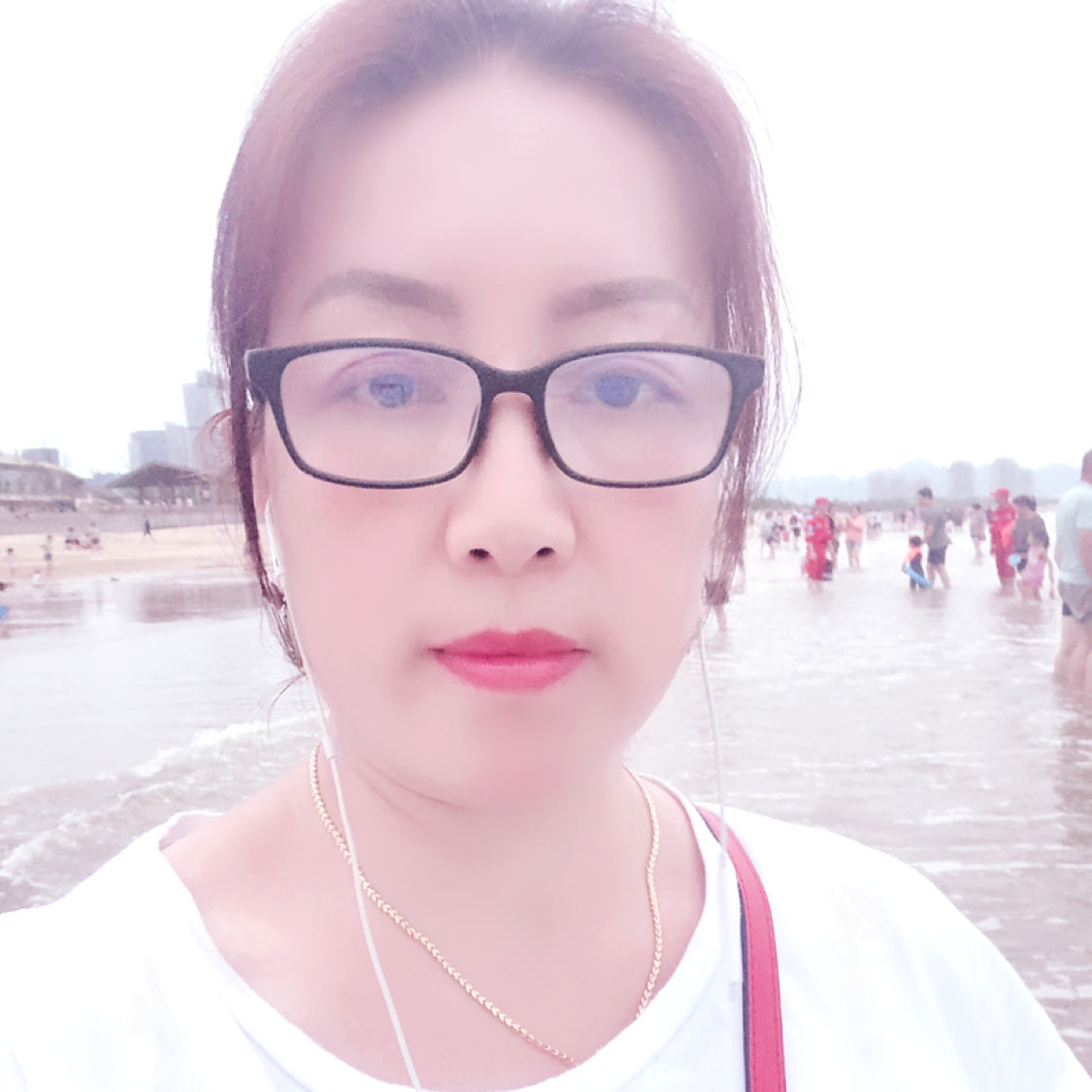 红玫瑰丰富的照片