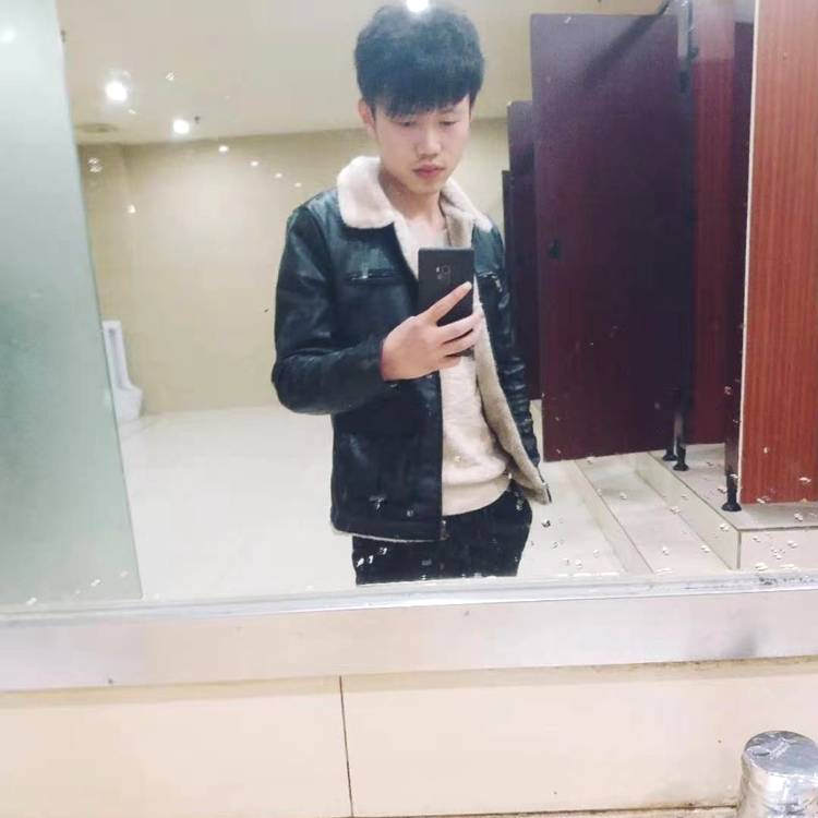 畅快請鸵鸟的照片