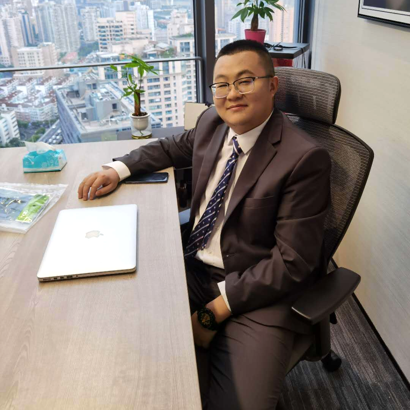 孤独的狼的照片