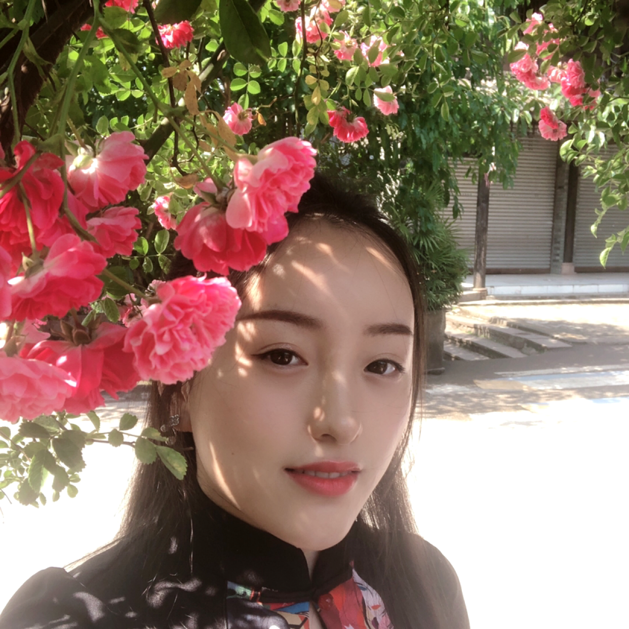 沉默請过客的照片