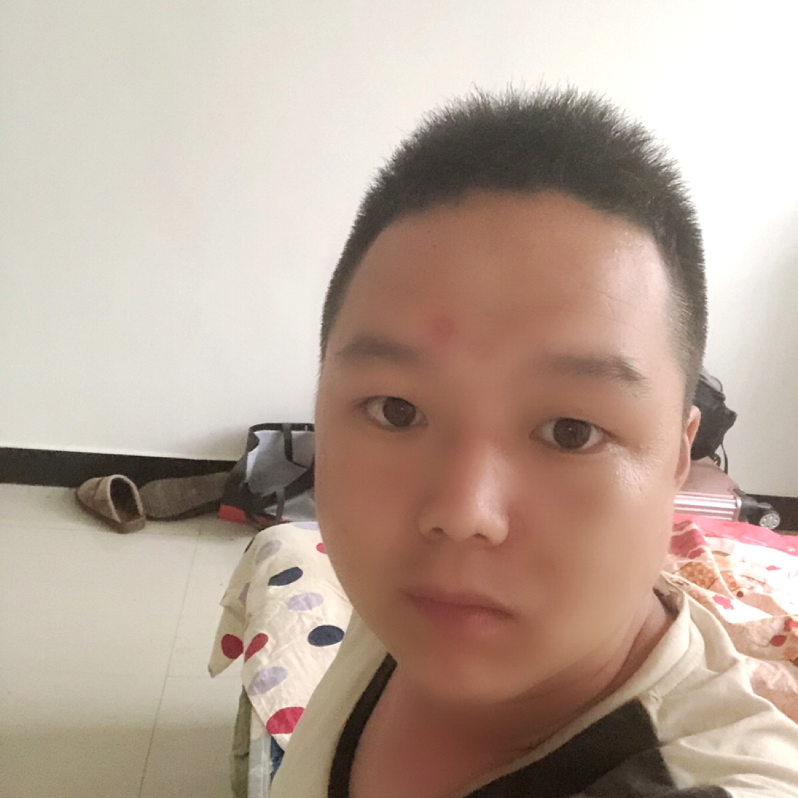 情怀诚的照片