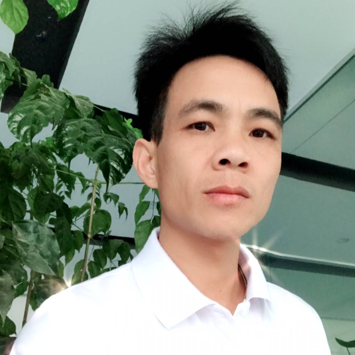 一生停留的照片